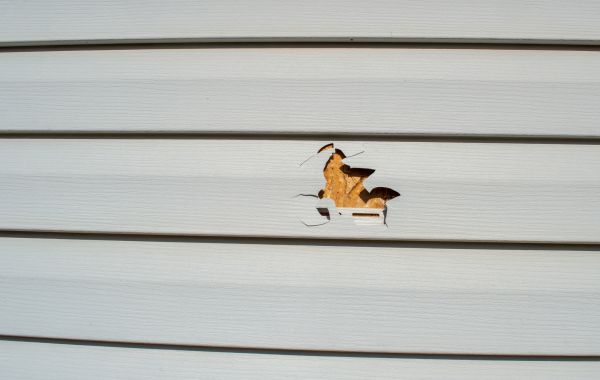 Siding Hole Repair in Carlsbad